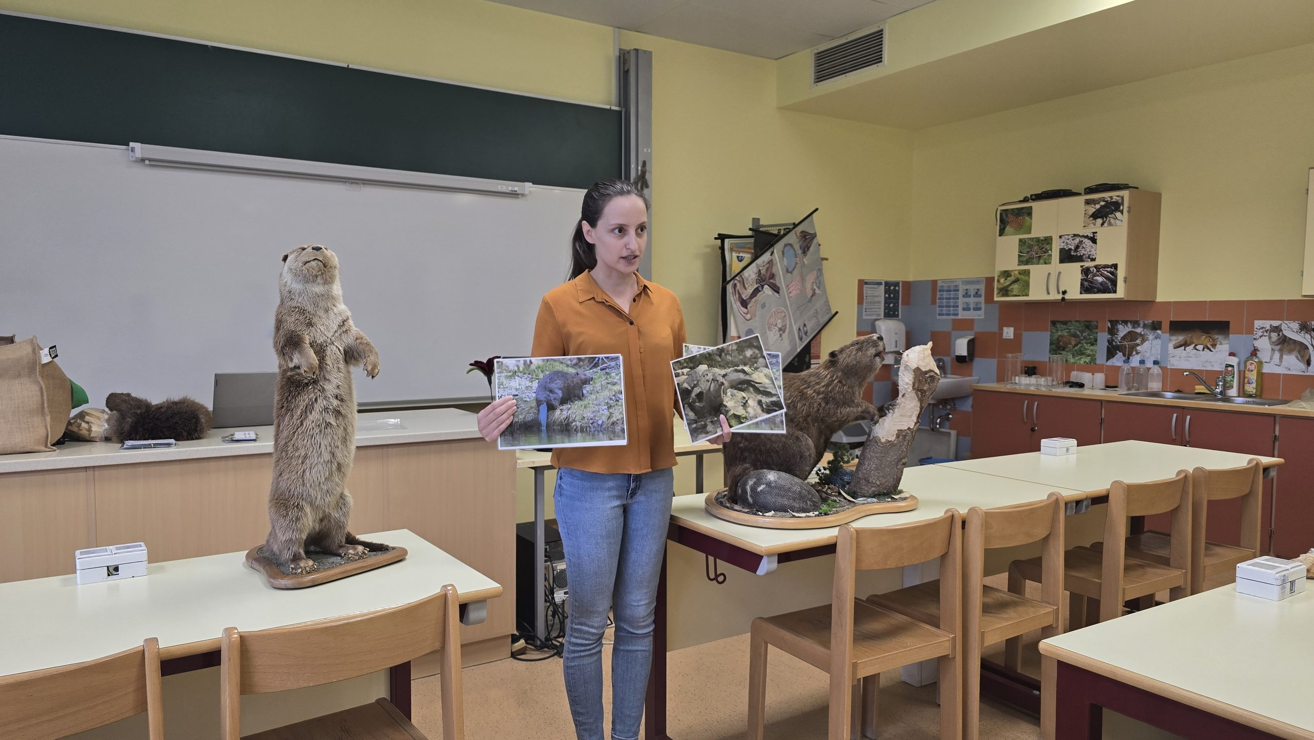 Bober kontra vidra: biologija malo drugače